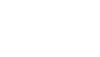 Irene Chandler logo-white-hero